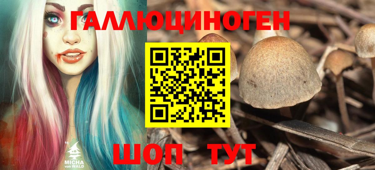 Галлюциногенные грибы Psilocybe  Вход с VPN  Ликино-Дулёво  Псилоцибиновые грибы GOLDEN TEACHER 