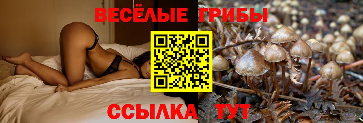 Галлюциногенные грибы Magic Shrooms Ликино-Дулёво